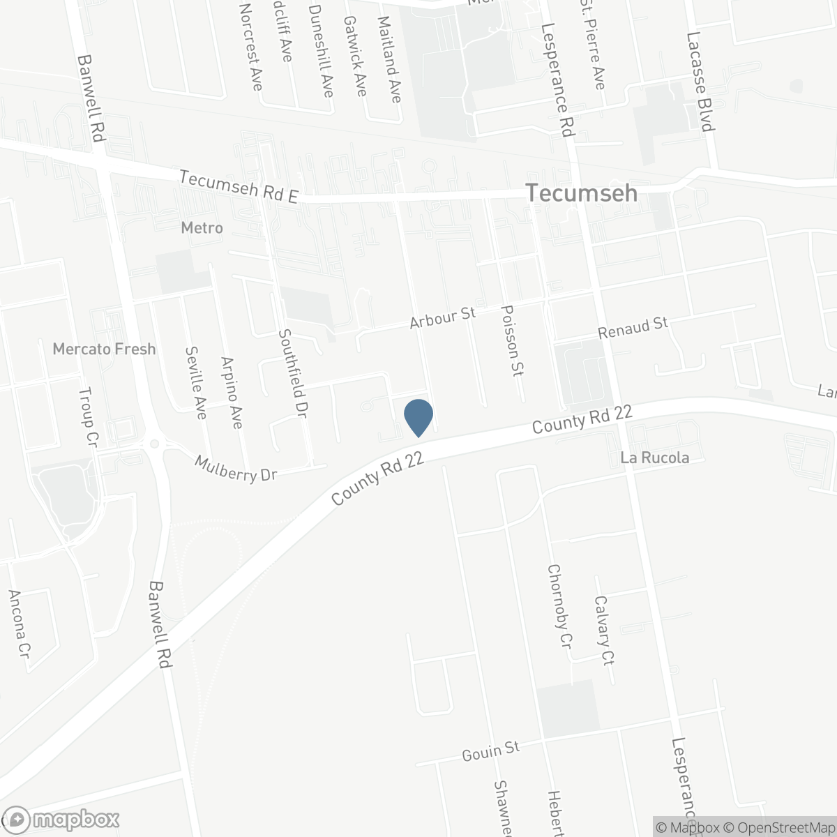 1539 SHAWNEE ROAD Unit# B, Tecumseh, Ontario N8N 1S3